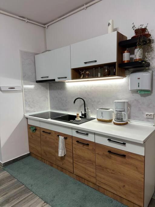 Zion Home Sibiu Exterior photo